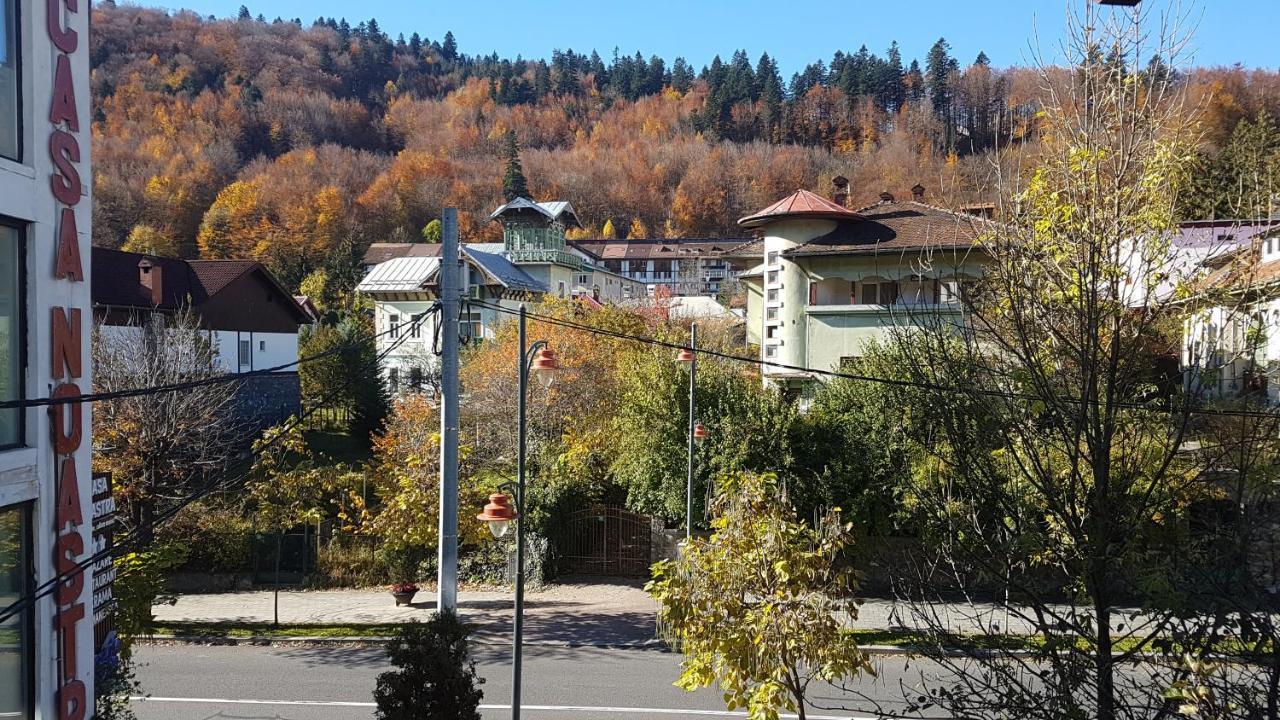 Отель Pensiunea Casa Noastra Синая Экстерьер фото
